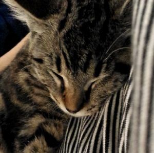 Meet your Posher, Harley